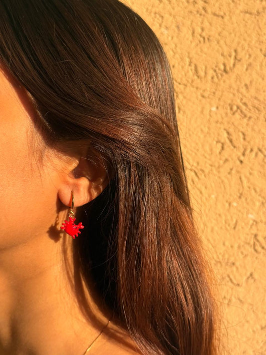 Mr. Crabs Earrings